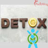 Detox & Wellness Programs in Costa Rica for San Francisco Patients Exploring Health Retreats